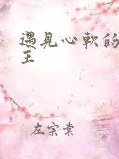 遇见心软的神男主