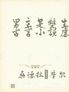 男主是双生子的古言小说虐文