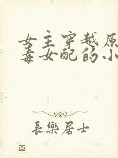 女主穿越原耽恶毒女配的小说