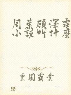 周叶顾泽霆原著小说叫什么名字