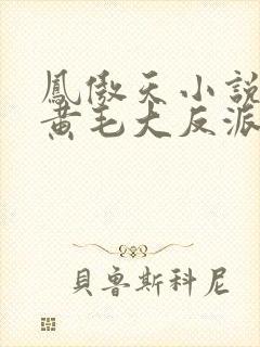 凤傲天小说里的黄毛大反派也想要幸福免费