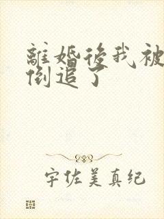 离婚后我被前夫倒追了