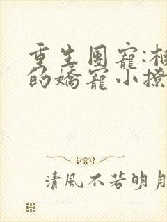 重生团宠:柏爷的娇宠小撩妻txt下载