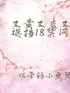 又黄又爽又色无遮挡18禁网站