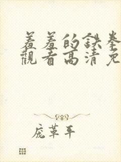 羞羞的铁拳在线观看高清免费观影