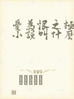 爱为恨之极原著小说叫什么名字