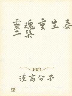 灵魂重生泰剧第二集