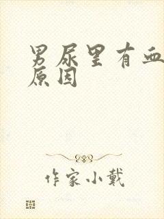 男尿里有血什么原因