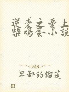 逆袭之爱上情敌柴鸡蛋小说全集完整版