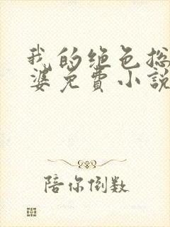 我的绝色总裁老婆免费小说