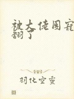 被大佬团宠后野翻了