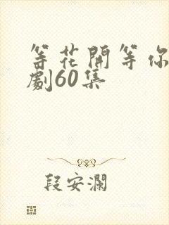 等花开等你归短剧60集