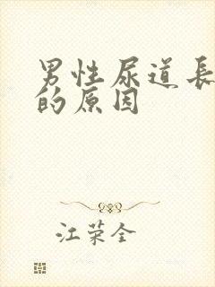 男性尿道长水泡的原因