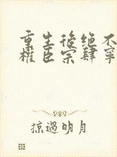 重生后绝不嫁给权臣宗肆宁芙小说