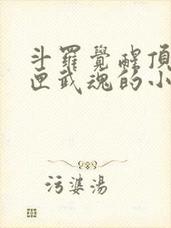 斗罗觉醒顶级剑匣武魂的小说