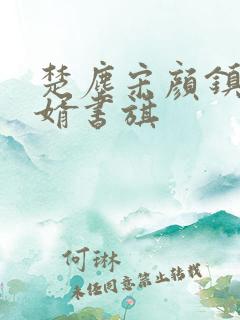 楚尘宋颜镇国神婿书旗