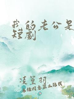 我的老公是总裁短剧