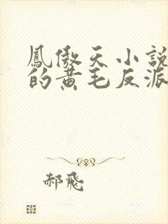 凤傲天小说里面的黄毛反派也想幸福