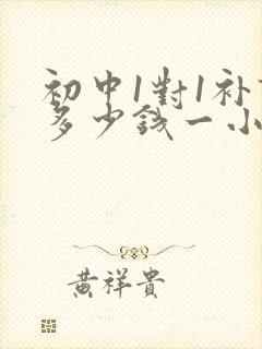 初中1对1补课多少钱一小时