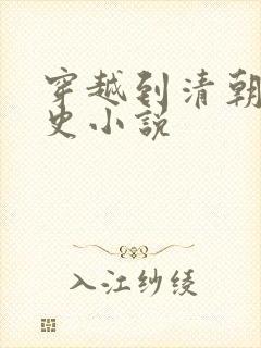 穿越到清朝的历史小说