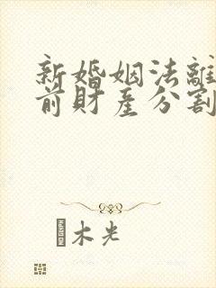 新婚姻法离婚婚前财产分割