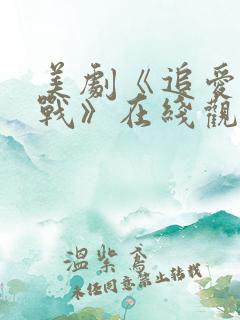 美剧《追爱大作战》在线观看