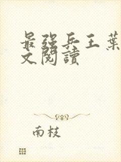 最强兵王叶辰全文阅读