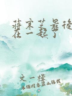 蒋寒芝最后和谁在一起了