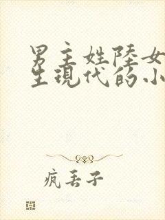 男主姓陆女主重生现代的小说