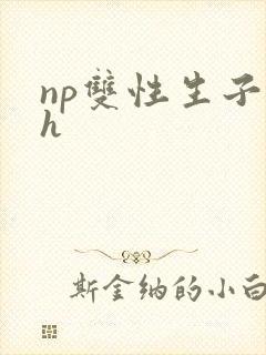 np双性生子高h