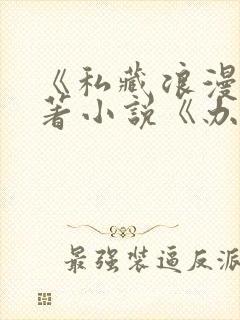 《私藏浪漫》原著小说《办公室隐婚》