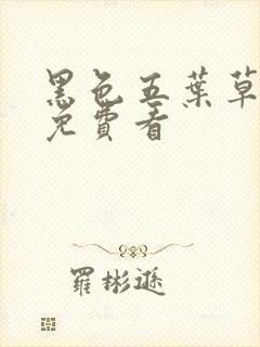 黑色五叶草动漫免费看