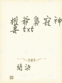 权爷枭宠神秘娇妻 txt