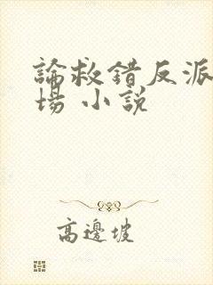 论救错反派的下场 小说