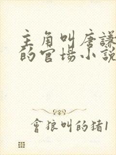 主角叫唐谦哥哥的官场小说