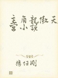 主角龙傲天的后宫小说