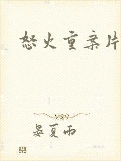 怒火重案片尾曲