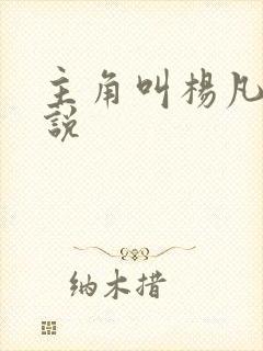 主角叫杨凡的小说