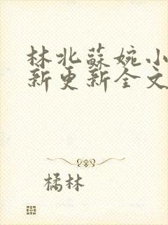 林北苏婉小说最新更新全文免费阅读