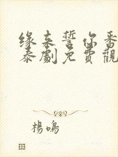 缘来誓你番外篇泰剧免费观看