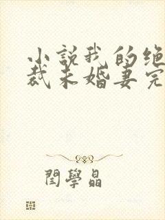 小说我的绝色总裁未婚妻完整版