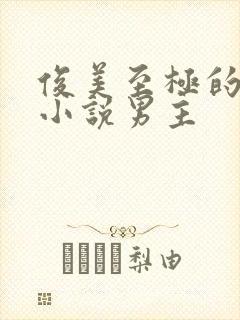 俊美至极的玄幻小说男主