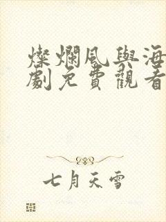 灿烂风与海电视剧免费观看高清