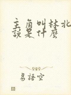 主角叫林北的小说是什么