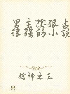 男主阴狠占有欲很强的小说古代言情