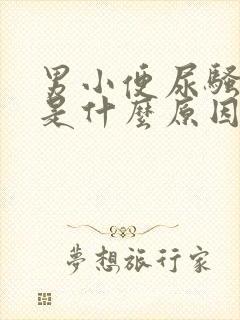 男小便尿骚味重是什么原因