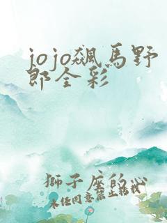 jojo飙马野郎全彩