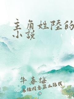 主角姓陆的修真小说