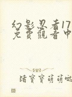 幻影忍者17季免费观看中文版