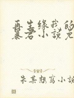 再生缘我的温柔暴君小说免费阅读